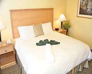 Resort The Ocean Key